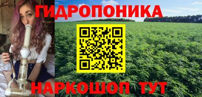 кокс Можга
