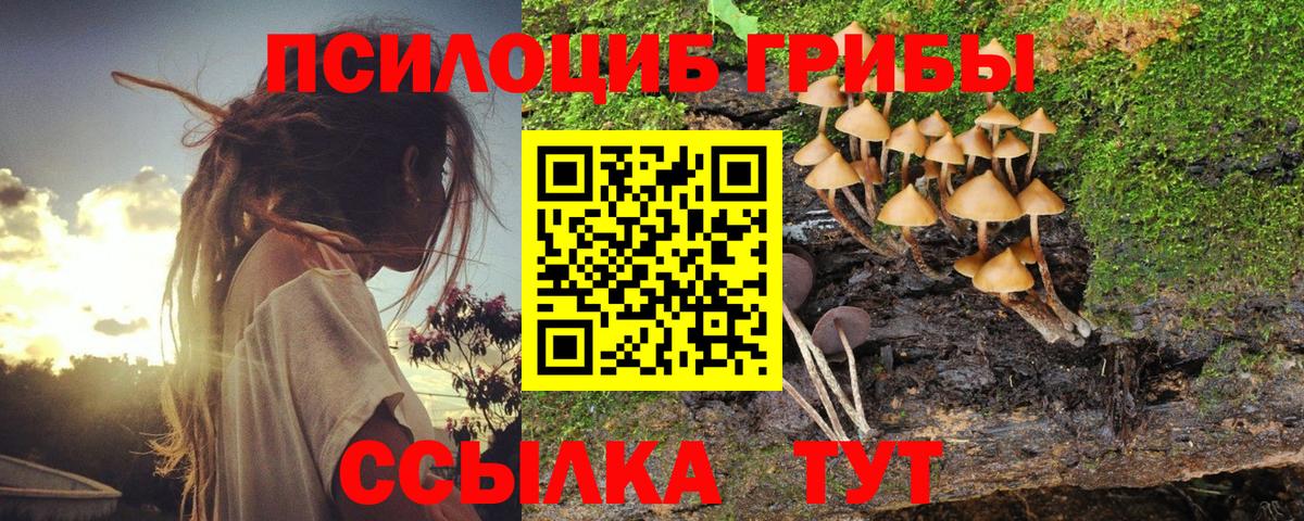 Псилоцибиновые грибы мухоморы  Галлюциногенные грибы Psilocybe  Тара  Вход с VPN 