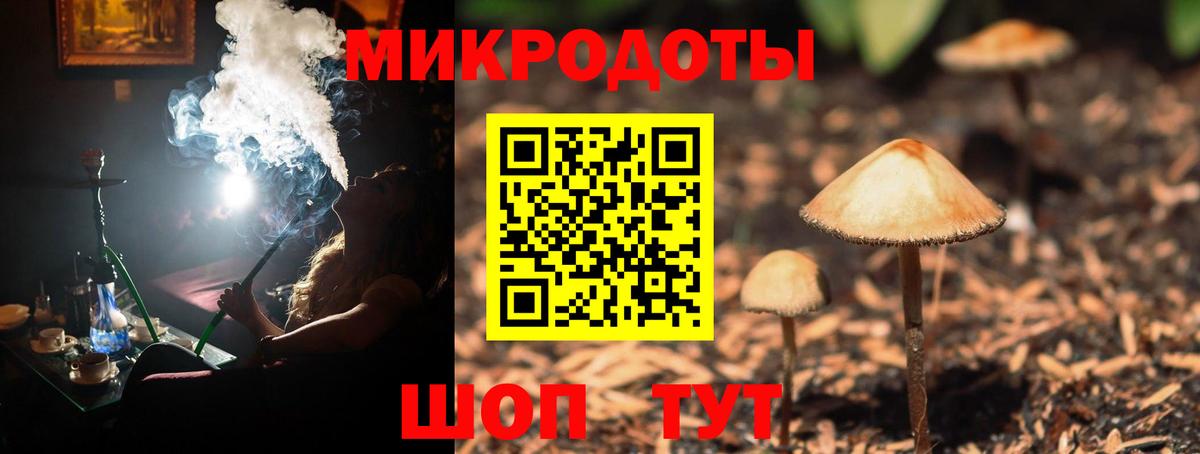 Псилоцибиновые грибы Cubensis Тара